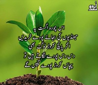 August 14 par Jhandiyon ki jagah Poday Plants lagain